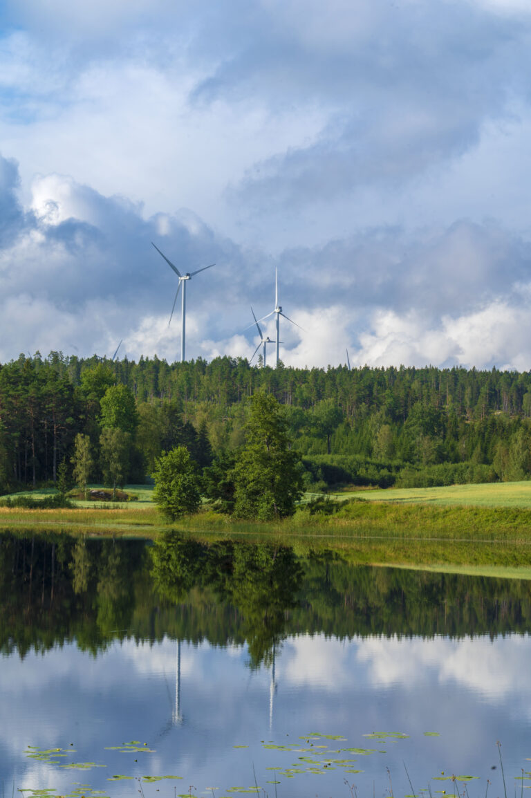 Miljöbild på svensk sjö i Årjäng med skog och vindkraftverk